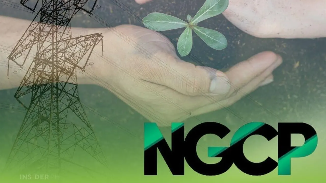NGCP Teams Up With DENR LGUs for Bohol Reforestation Drive