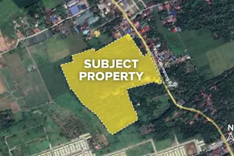 7 hectare Vacant Lot for Sale in Pila, Laguna