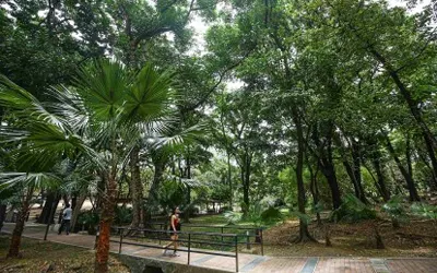 DENR logs 11K hectares of green space in NCR